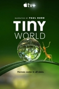 Постер Крошечный мир (Tiny World)