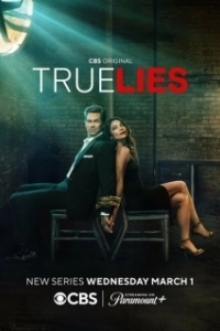 Постер Правдивая ложь (True Lies)