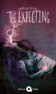 Постер В ожидании (The Expecting)