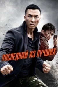 Постер Последний из лучших (Kung Fu Killer)