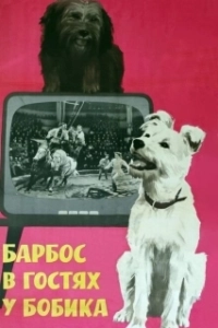 Постер Барбос в гостях у Бобика
