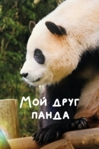 Постер Мой друг панда (My Dearest Fu Bao)