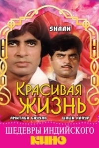 Постер Красивая жизнь (Shaan)