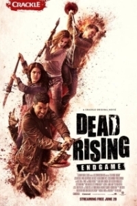 Постер Восставшие мертвецы: Конец игры (Dead Rising: Endgame)