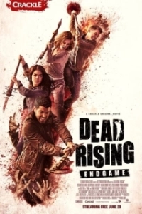 Постер Восставшие мертвецы: Конец игры (Dead Rising: Endgame)