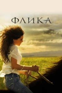 Постер Флика (Flicka)