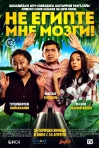 Постер Не египте мне мозги!