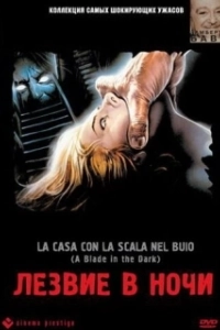 Постер Лезвие в ночи (La casa con la scala nel buio)