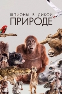 Постер Шпионы в дикой природе (Earth Spy In The Wild)