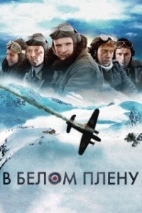 Постер Снежная тюрьма (Into the White)