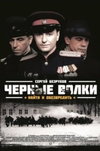 Постер Чёрные волки 