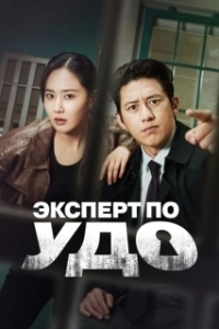 Постер Эксперт по УДО (Gaseokbang simsagwan Lee Hansin)