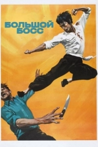 Постер Большой Босс (The Boss)