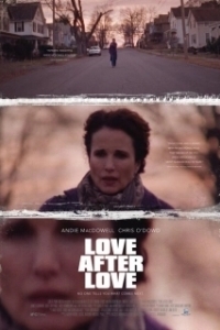 Постер Одна любовь за другой (Love After Love)