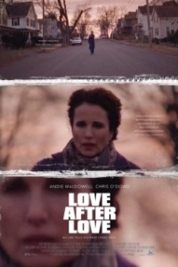 Постер Одна любовь за другой (Love After Love)