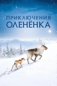 Постер Приключения оленёнка (A Reindeer's Journey)