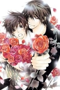 Постер Лучшая в мире первая любовь (Sekaiichi hatsukoi)