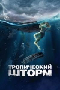 Постер Рекуин (The Requin)