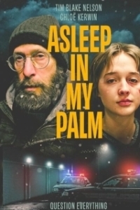Постер Она заснула в моей ладони (Asleep in My Palm)