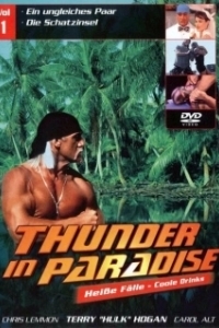 Постер Гром в раю (Thunder in Paradise)