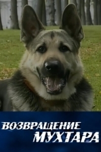 Постер Возвращение Мухтара (Возвращение Мухтара)