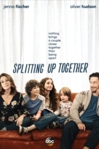 Постер Разделенные вместе (Splitting Up Together)