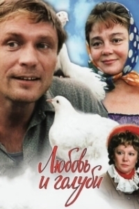 Постер Любовь и голуби (Love and Doves)