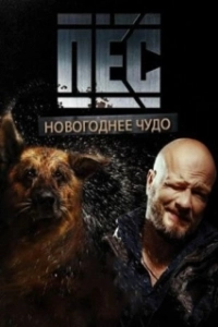 Постер Новогодний пёс 