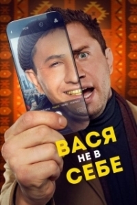 Постер Вася не в себе 