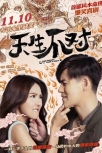 Постер Минус на минус даёт плюс (Tian sheng bu dui)