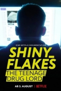 Постер Shiny_Flakes: Молодой наркобарон (Shiny_Flakes: The Teenage Drug Lord)