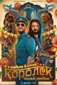 Постер Королёк моей любви (Королёк моей любви)