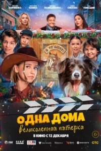 Постер Одна дома: Великолепная пятерка 