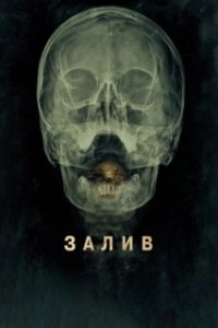 Постер Залив (The Bay)