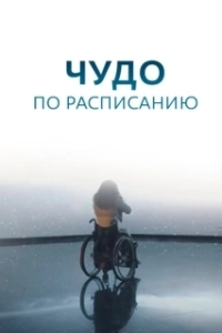 Постер Чудо по расписанию 