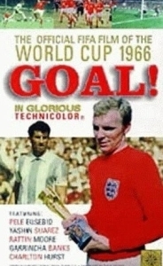 Постер Спор за золотую богиню (Goal! The World Cup)