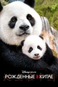 Постер Рождённые в Китае (DisneyNature Born in China)