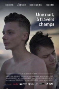 Постер Однажды ночью через поля (Une nuit, à travers champs)