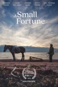Постер Небольшое состояние (A Small Fortune)