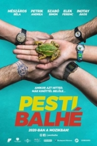 Постер Ограбление в Будапеште (Pesti balhé)