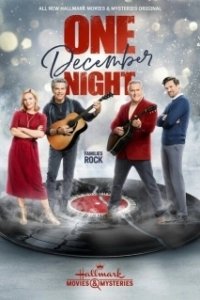 Постер Одна декабрьская ночь (One December Night)