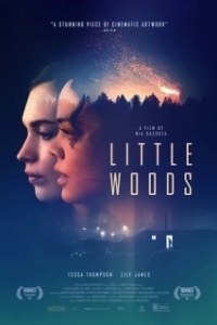 Постер Лесок (Little.Woods)