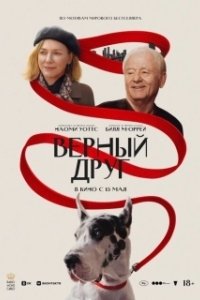 Постер Верный друг (The Friend)