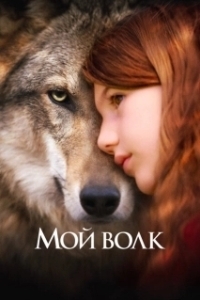 Постер Мой волк (Mystère)