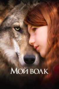 Постер Мой волк (Mystère)