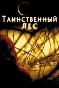 Постер Таинственный лес (The Village)
