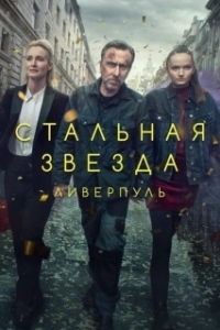 Постер Стальная звезда (Tin Star)