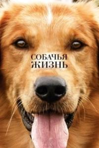 Постер Собачья жизнь (Perra Vida)