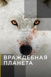 Постер Враждебная планета (Hostile Planet)