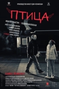 Постер Птица (Bird)